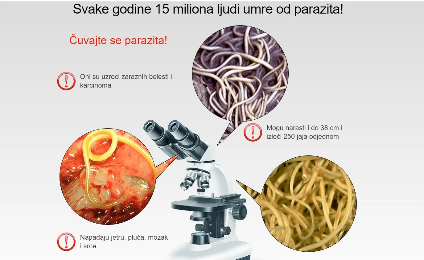 Paraclean