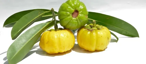 Slimores : di mana bisa beli di Indonesia, di apotek?